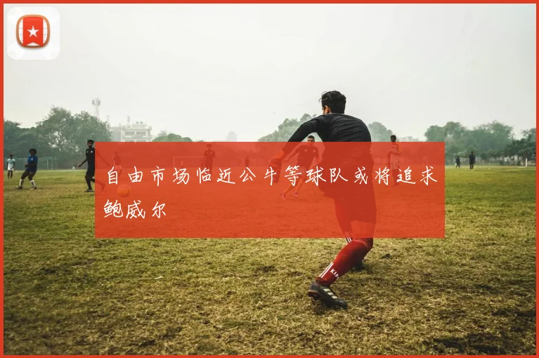 自由市场临近公牛等球队或将追求鲍威尔
