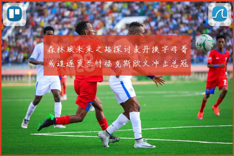 森林狼未来之路探讨麦丹换字母哥或追逐莫兰特福克斯欧文冲击总冠军